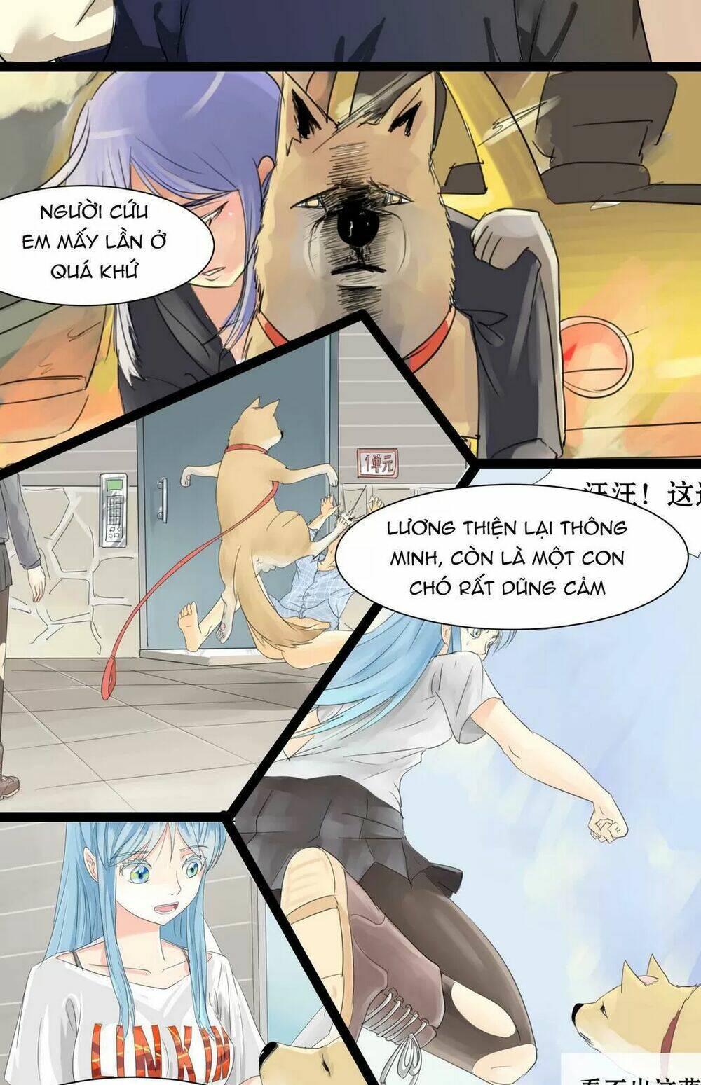 Một Con Chó Chapter 65 - Trang 2